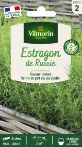 Estragon de Russie 